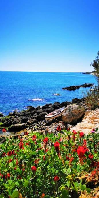 Magnolia Casa Di Campagna Costa Dei Trabocchi Rocca San Giovanni Dış mekan fotoğraf
