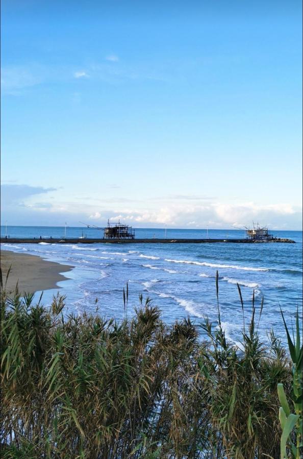 Magnolia Casa Di Campagna Costa Dei Trabocchi Rocca San Giovanni Dış mekan fotoğraf